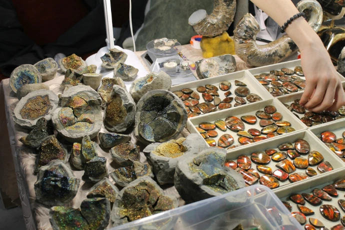 A table displays various types of rocks and gems.